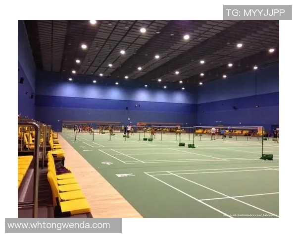 南京羽毛球队的战术解析与阵地战深度剖析