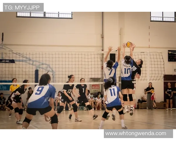 排球纪实：记录南京排球队的突破历程