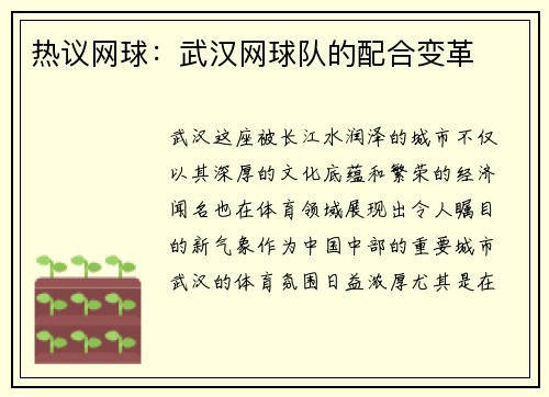 热议网球：武汉网球队的配合变革