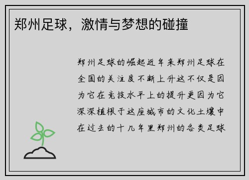 郑州足球，激情与梦想的碰撞